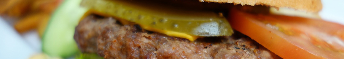 Eating Burger Diner Hot Dog at Al's French Frys restaurant in South Burlington, VT.